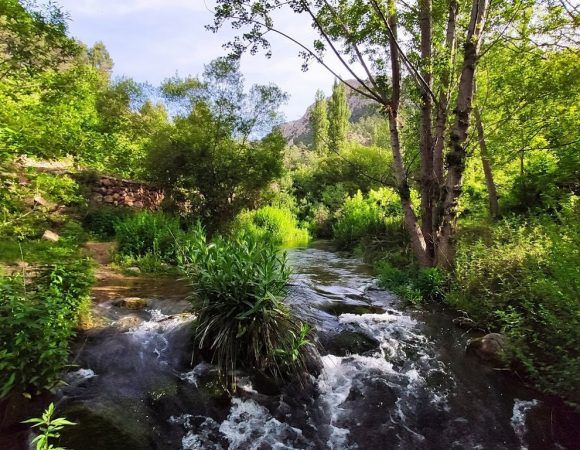 Nacimiento del Río Palancia