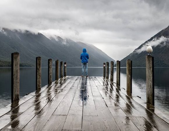 Oceanogràfic Valencia Tour