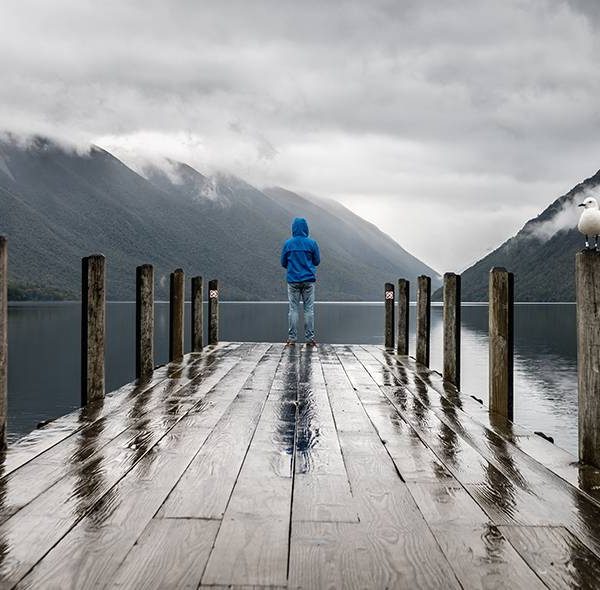 Oceanogràfic Valencia Tour