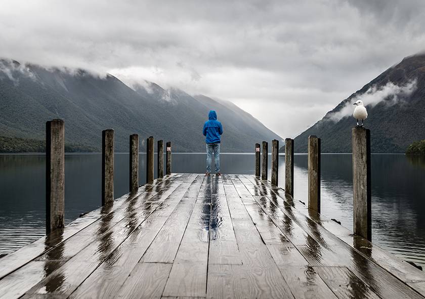 Oceanogràfic Valencia Tour