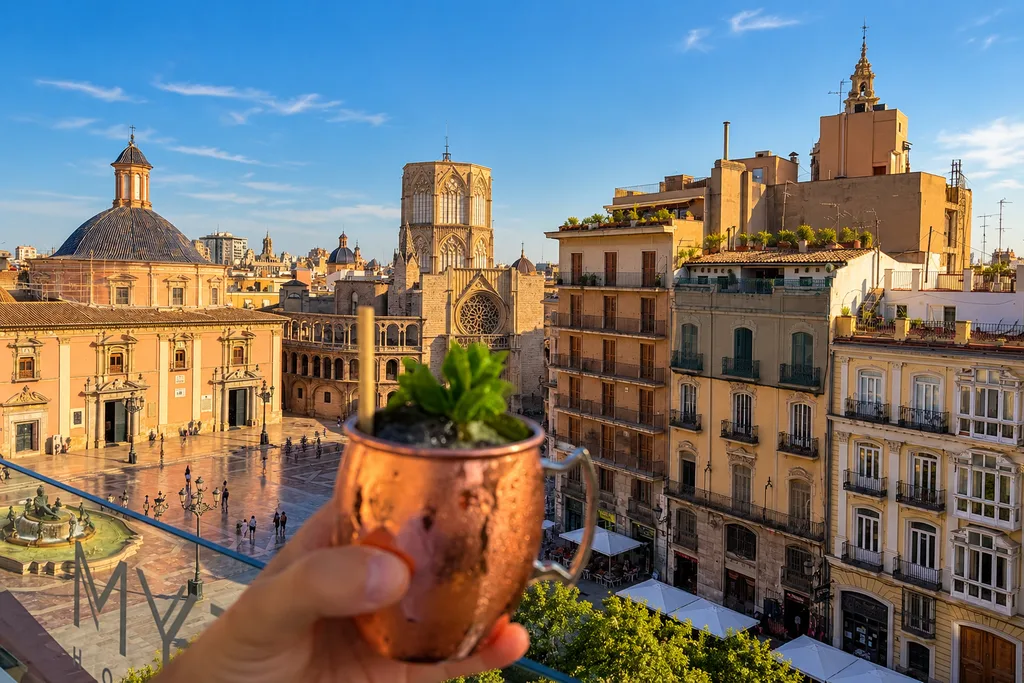 View from Palacio Vallier rooftop over Valencia Old Town